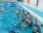 Школа плавания Swimrocket на улице Рословка фотография 2