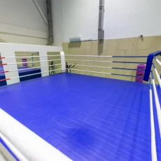 Клуб боевых искусств Family Fight School фотография 3