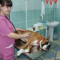 Ветеринарная клиника МОС ВЕТ на Пятницком шоссе фотография 1